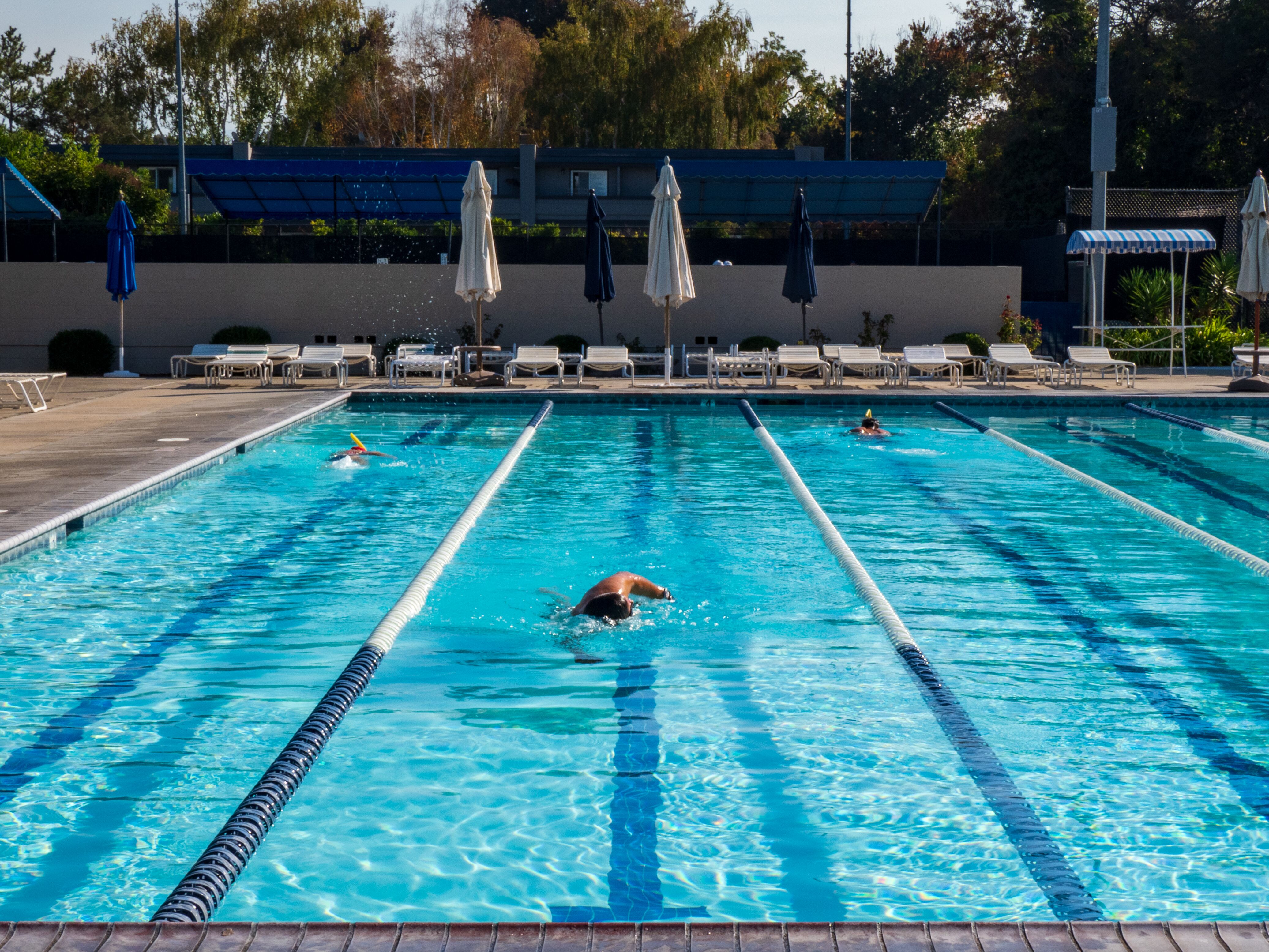 SWIM - San Jose Swim and Racquet Club